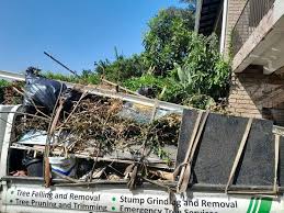 Best Carpet Removal and Disposal  in Nashua, IA