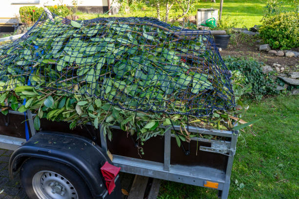 Best Estate Cleanout  in Nashua, IA
